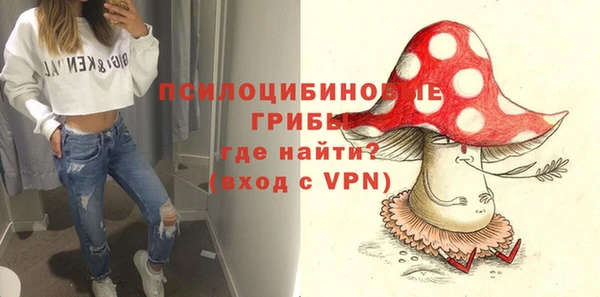прущие грибы Абинск