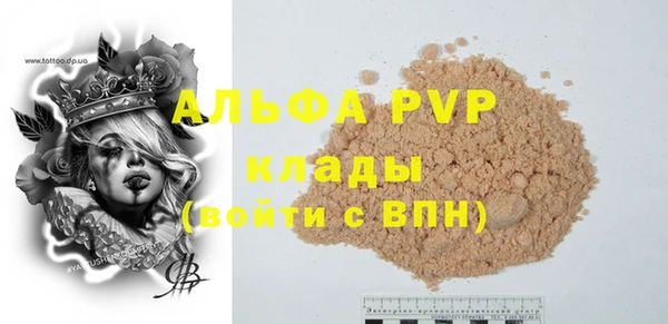 прущие грибы Абинск