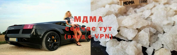 прущие грибы Абинск