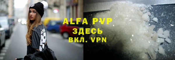 прущие грибы Абинск