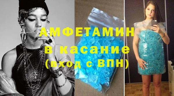 прущие грибы Абинск