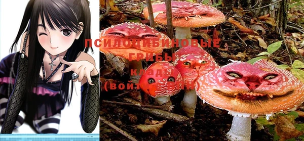 гашиш Абаза