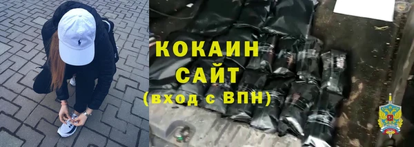 прущие грибы Абинск