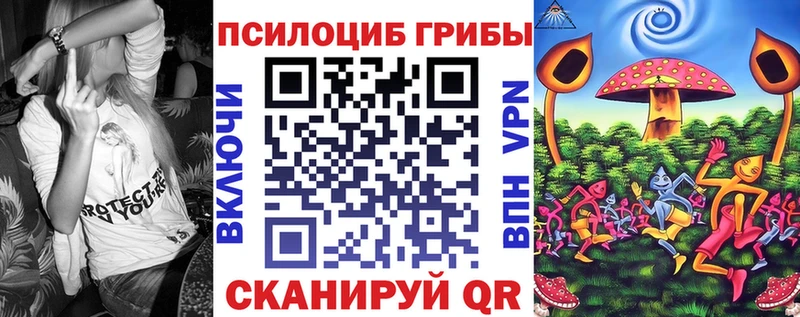 Псилоцибиновые грибы мицелий что такое наркотик Сухиничи
