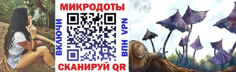 Псилоцибиновые грибы мицелий Сухиничи